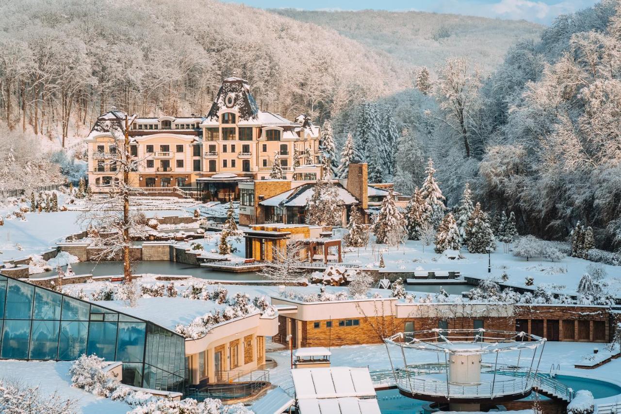 Hotel Irys By Derenivska Kupil Nyzhne Solotvyno Exterior photo